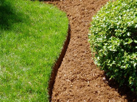 How to edge a lawn. Things To Know About How to edge a lawn. 
